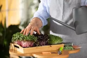 El auge de la cocina sostenible y su impacto en la hostelería