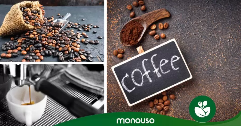 Conoce los tipos de café y domina al mundo
