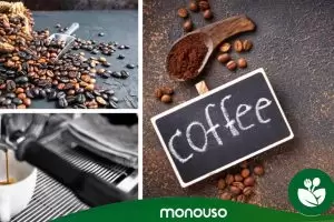 Tipos de café y cómo prepararlos para llevar