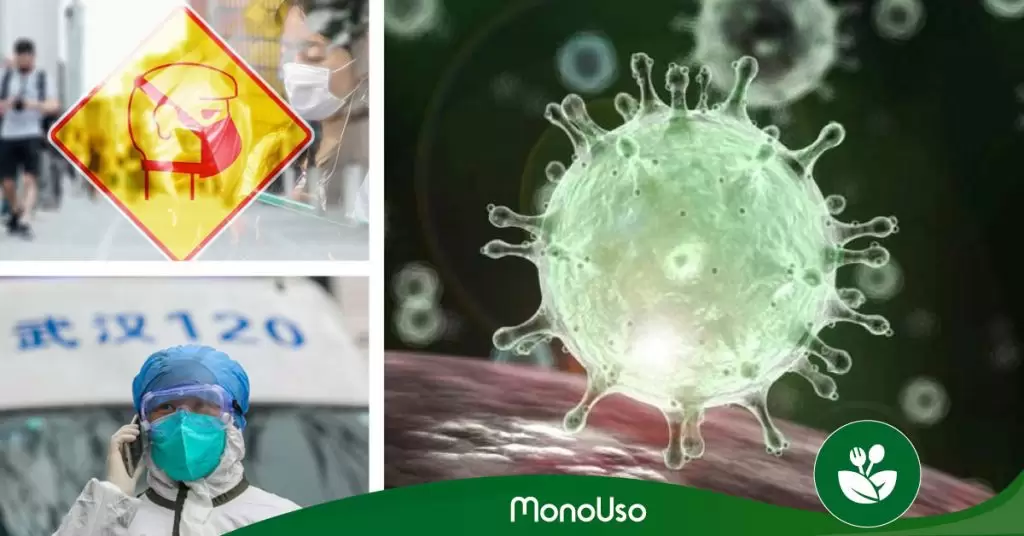 Coronavirus: Conócelo, protégete y evítalo