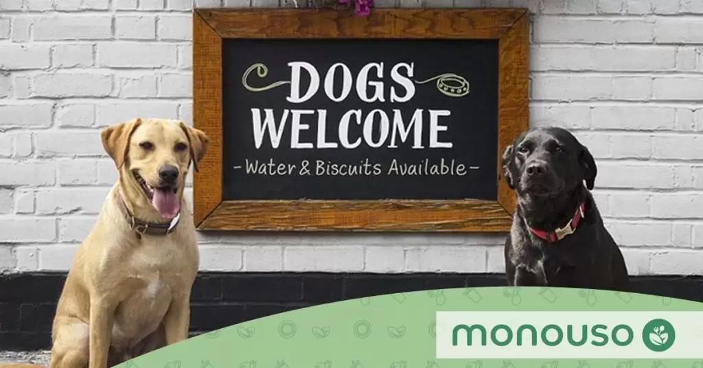 Pet Friendly