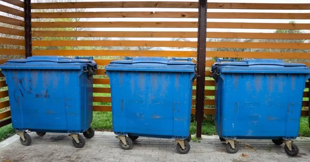 Tendencia del trash cooking: La ciencia de aprovecharlo todo