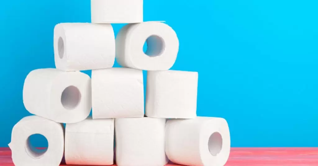 Ventajas y desventajas de papel higiénico