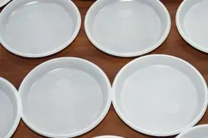 Platos de plástico en la hostelería: Encontrando el equilibrio entre comodidad y sostenibilidad