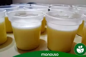 Cómo hacer un delicioso flan en vaso de plástico