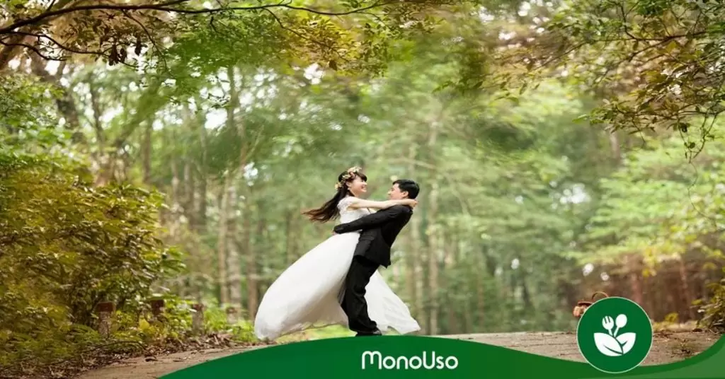 boda sencilla y económica