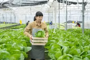 Guía para elegir proveedores sostenibles de alimentos