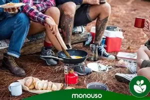 Vajillas para campings: la mejor manera de disfrutar de tus comidas al aire libre