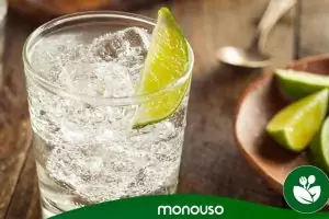 Los mejores vasos de plástico de Gin Tonic